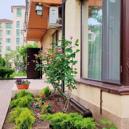 Location In Sunny Amber Apartment